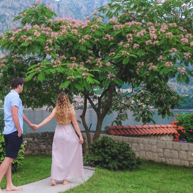 The best and most romantic things to do in Kotor