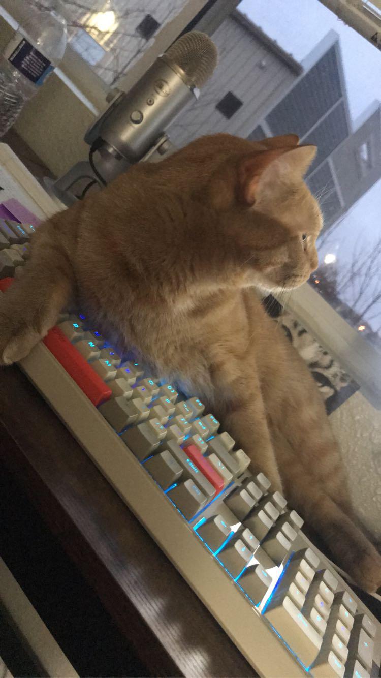 Archie found some issues with this data. It may or may not be his typing method.