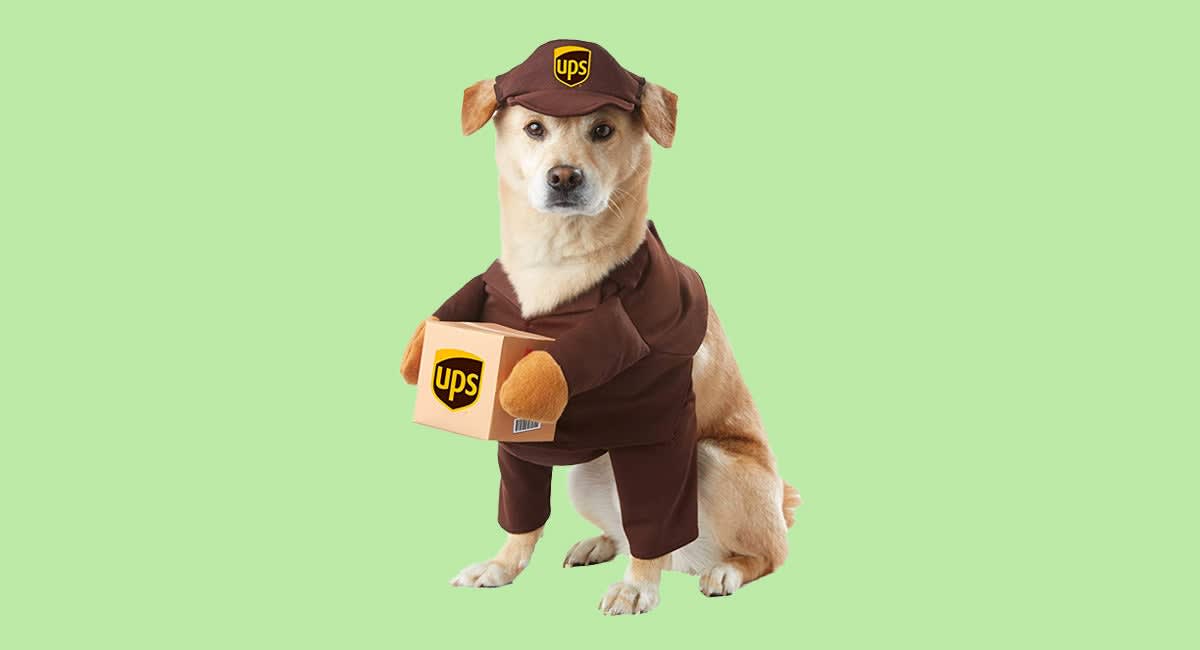 Halloween Dog Costumes That Even Your Dog Will Love