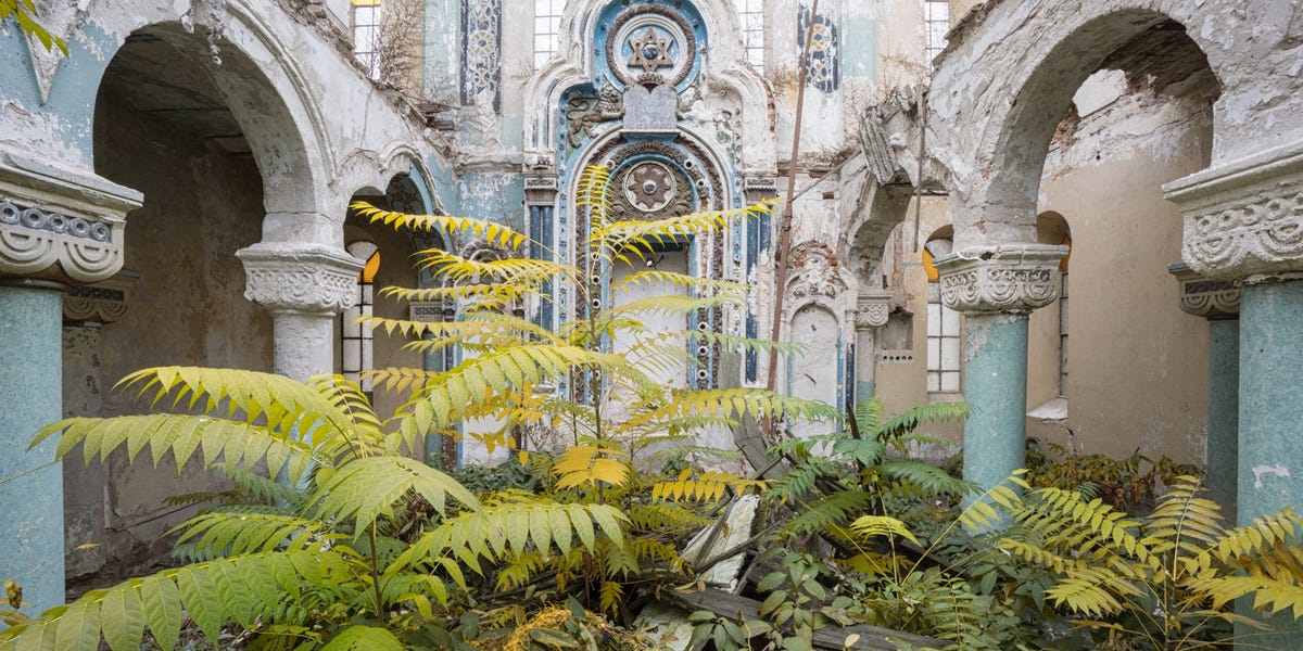 15 photos of hauntingly beautiful spaces that have been taken over by nature