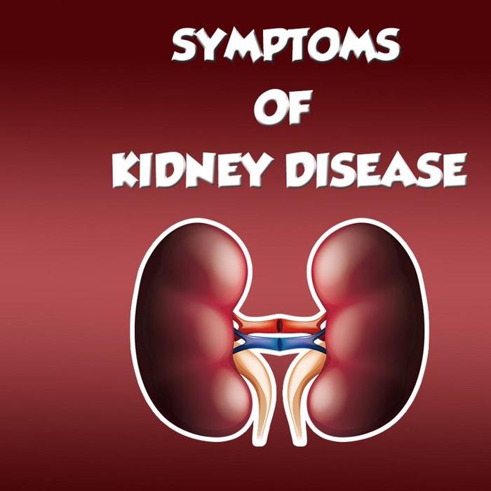 The First Symptoms of Kidney Disease and the Right Doctor to Consult