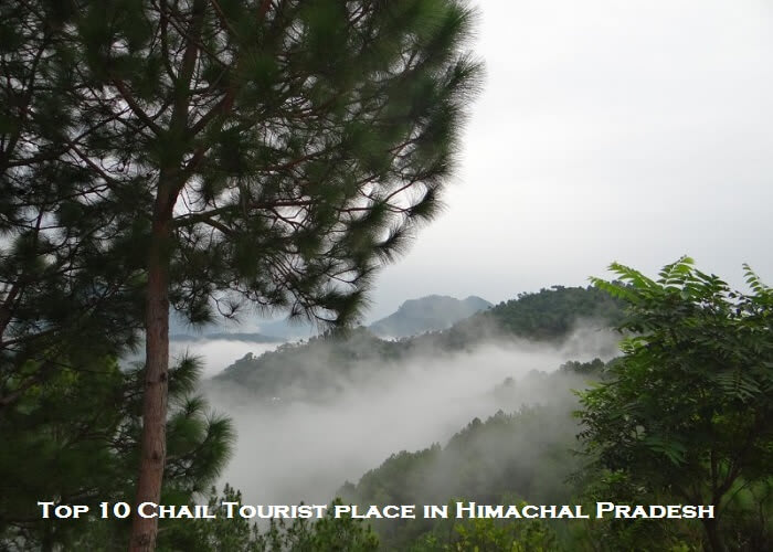 Top 10 Chail Tourist place in Himachal Pradesh