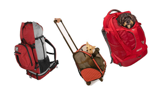 Best Dog backpack carrier bags - Review 2020