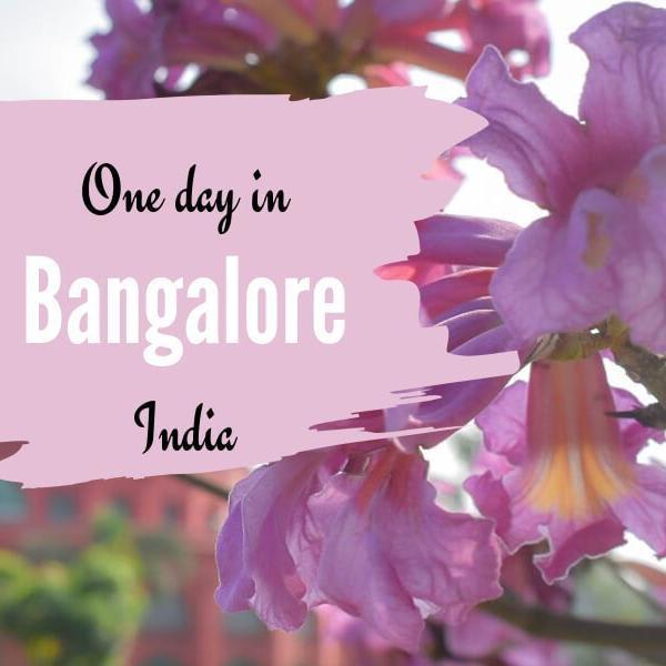 An Ultimate Bangalore Itinerary: Best of Bangalore in one day