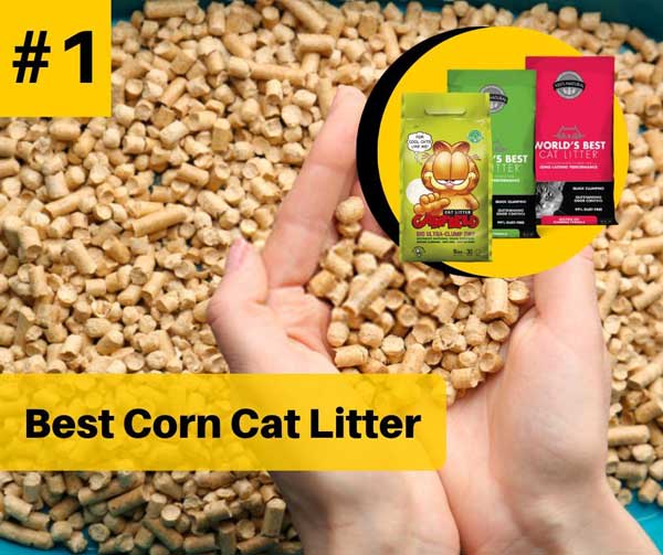 7 Best Corn Cat Litter with Unbiased Reviews in 2020