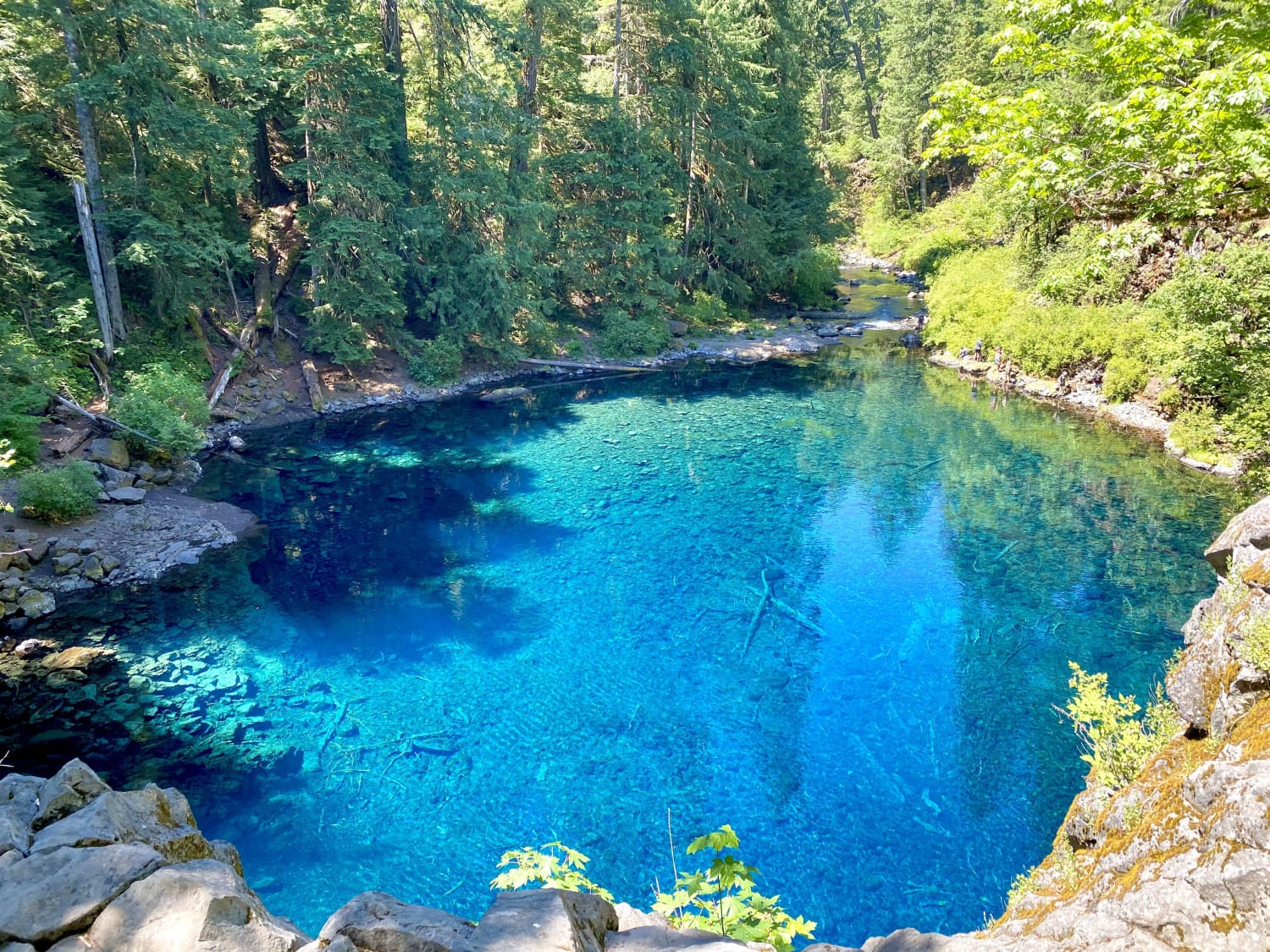 Tamolitch blue pool (Oregon)