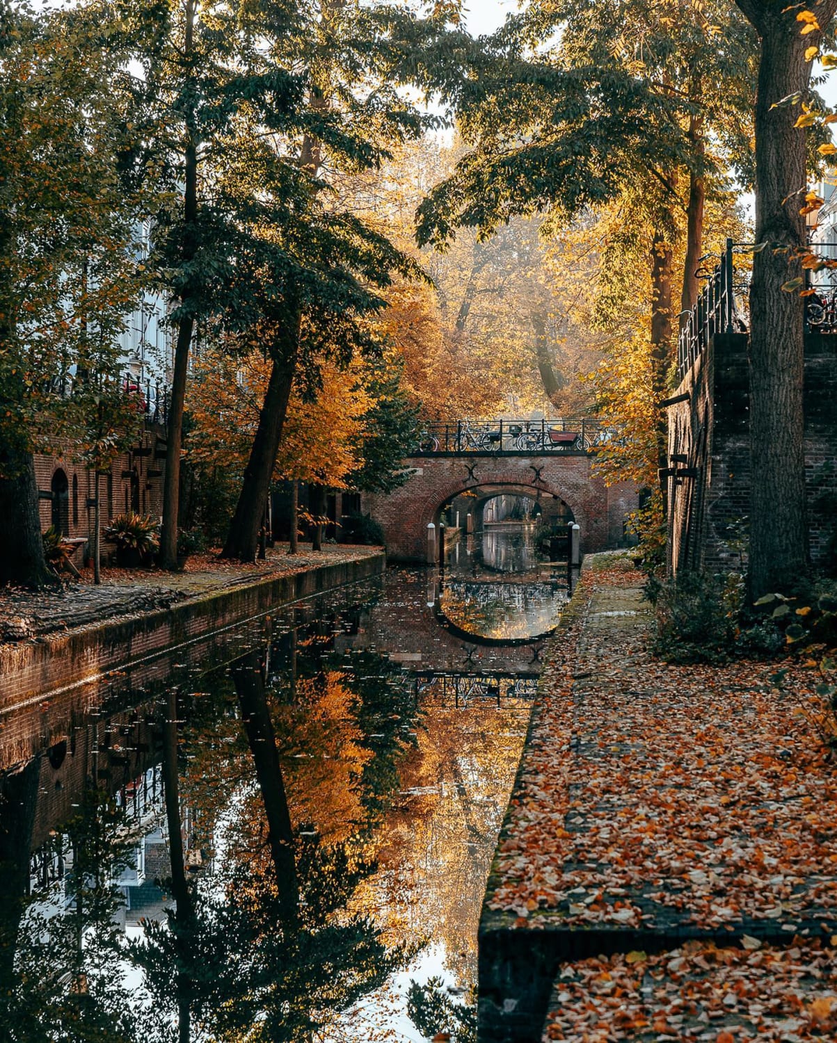 Canal in the morning, Utrecht, the Netherlands.