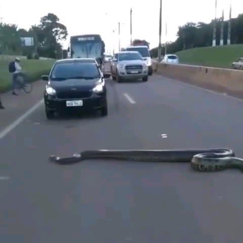 A Normal Day in Brazil