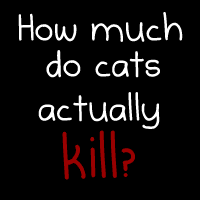 How much do cats actually kill? [Infographic]