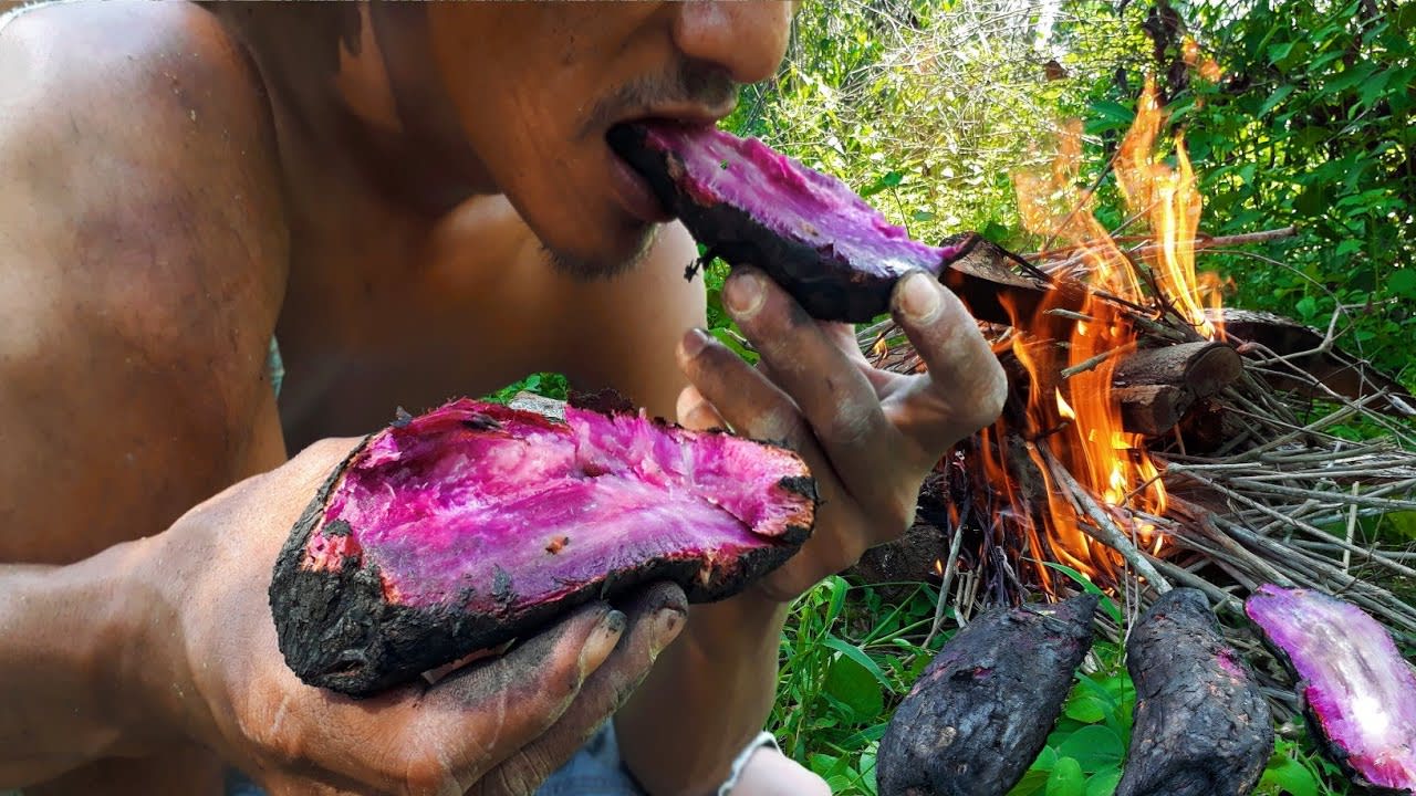 Survival Skills: Finding sweet potato food in the forest and cooking sweet potato - Eating delicious