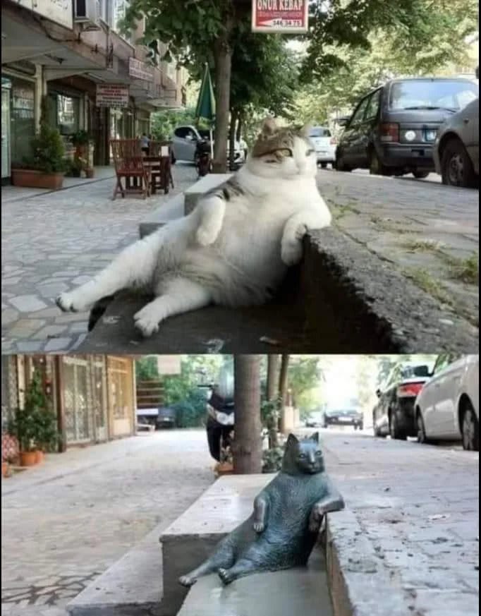 Statue commissioned by residents in Istanbul in honor of the local street cat
