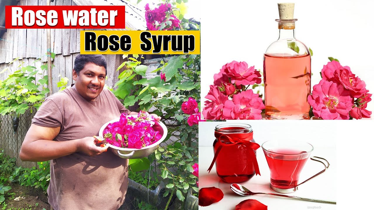 How to make rose water II Rose Flower Syrup II Rose Water Recipe II Homemade Rose Water
