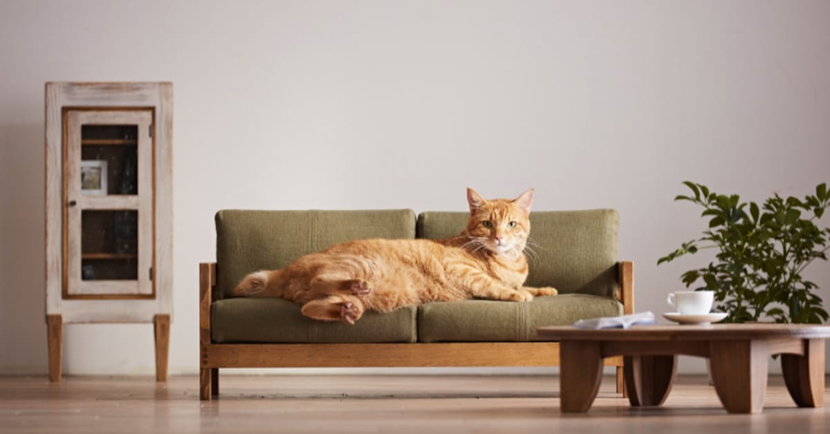 Japan Releases a Range of Miniature Furniture for Cats