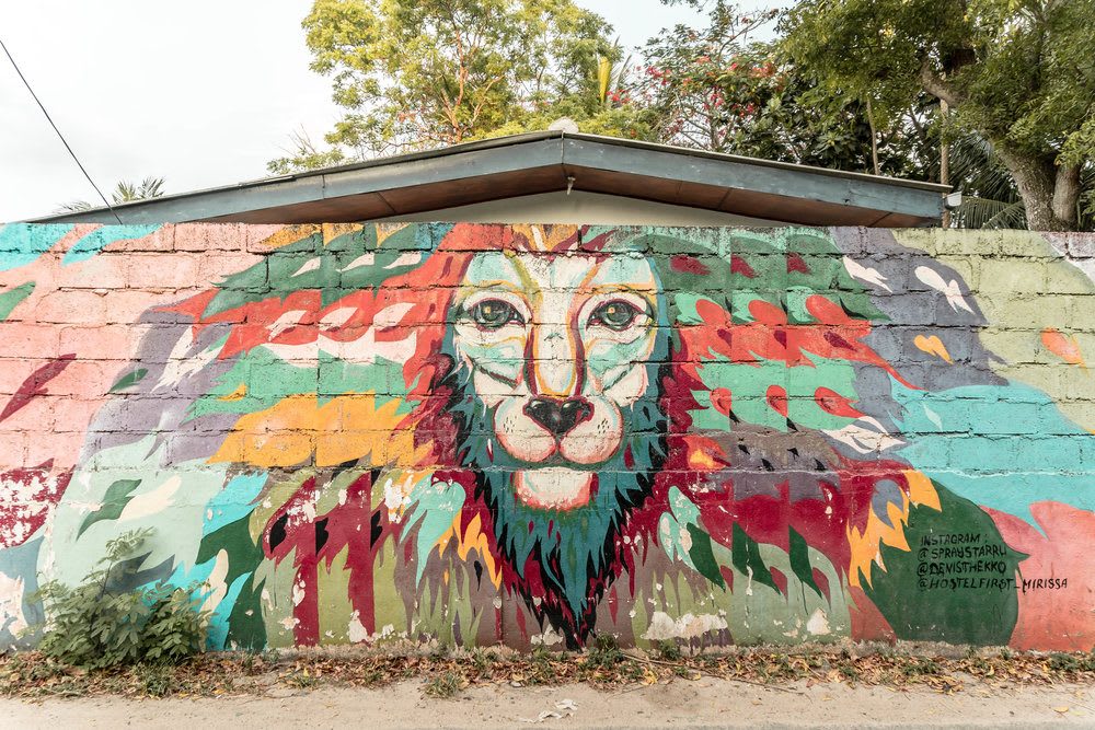 Sri Lanka becomes a sketch book :Street Art Trend