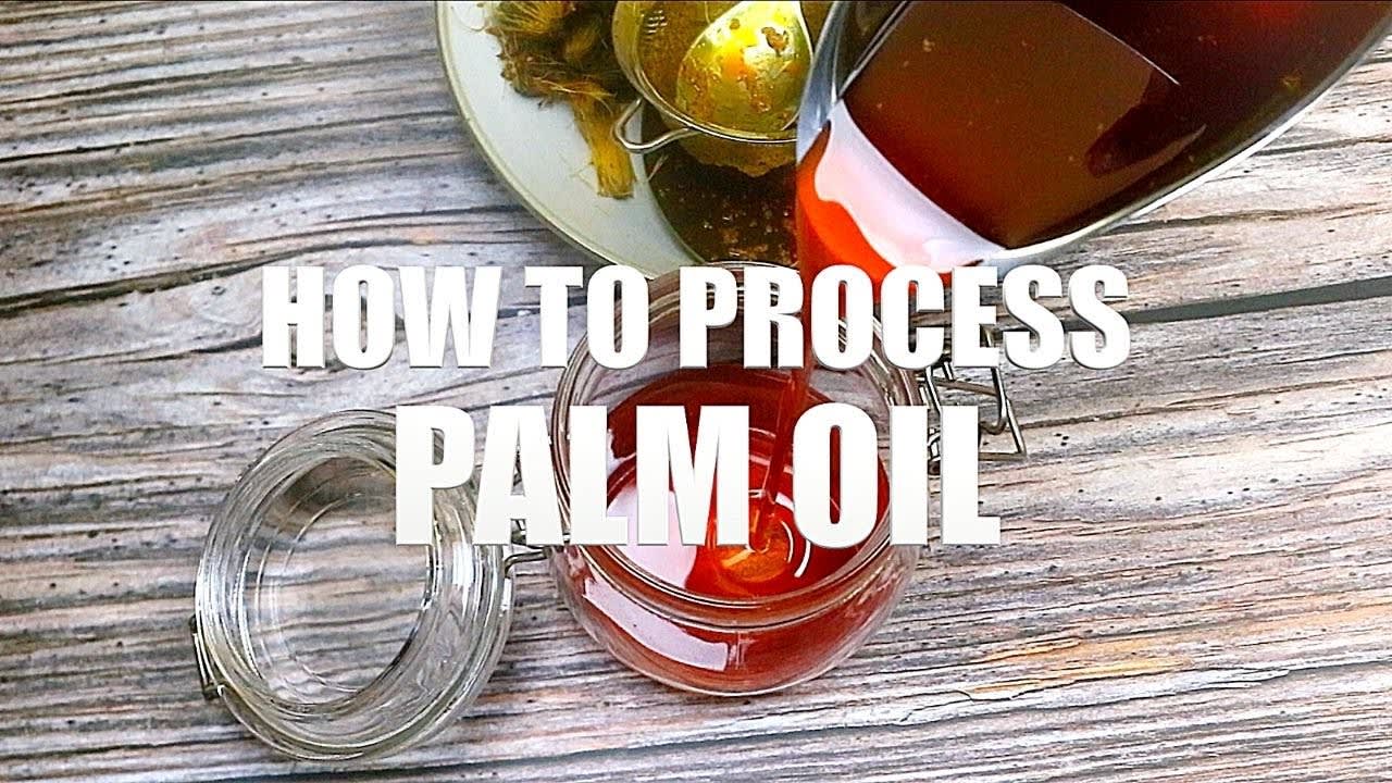 Palm Oil Production || How To Produce Red Palm Oil from Palm Kernels