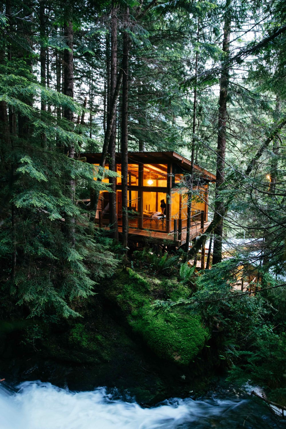 Cabin in the dense coniferous forests on the Pacific coast of British Columbia, Canada.