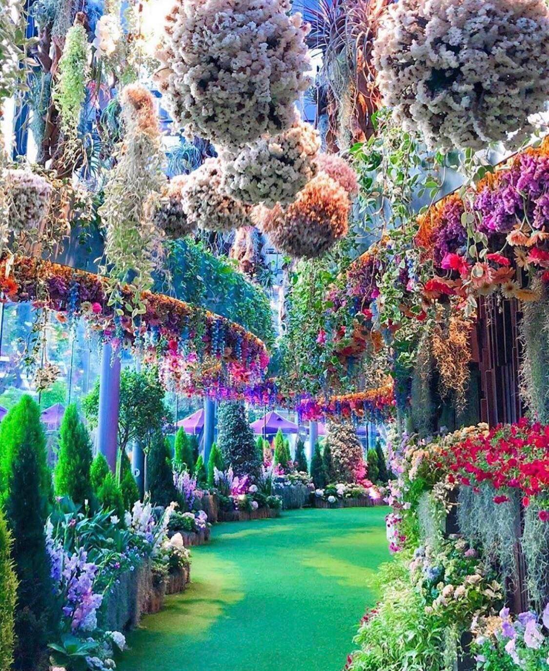 These Gardens in Singapore