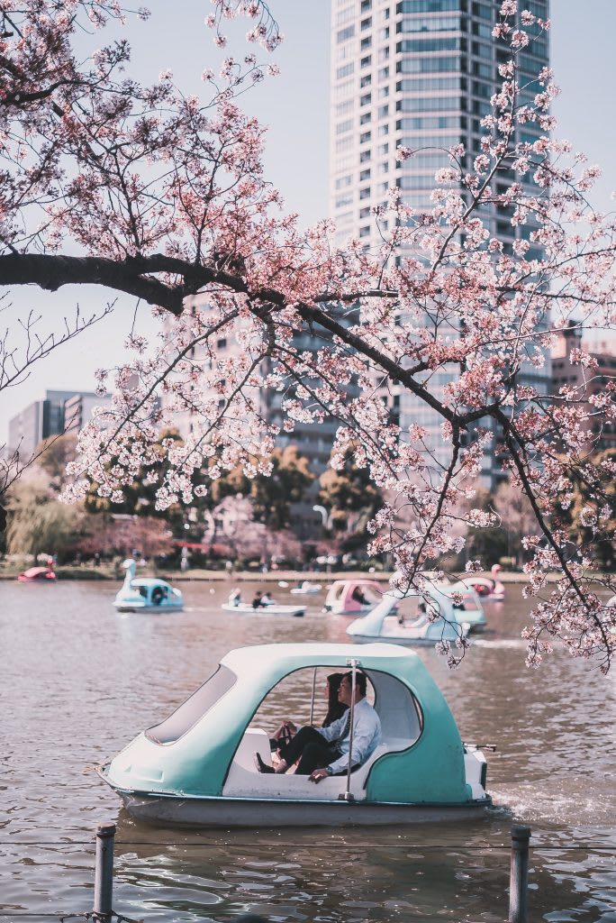 7 Parks in Tokyo to Enjoy Japan's Changing Seasons