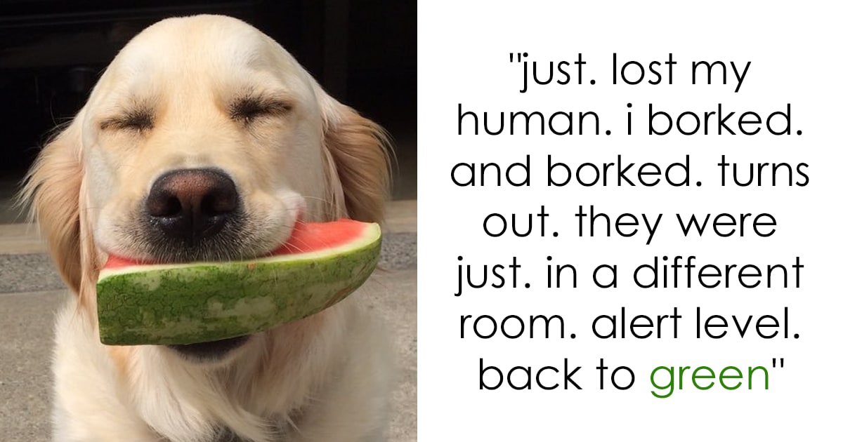 182 Of The Funniest Dog Thoughts That Dog Owners Will Understand Too Well