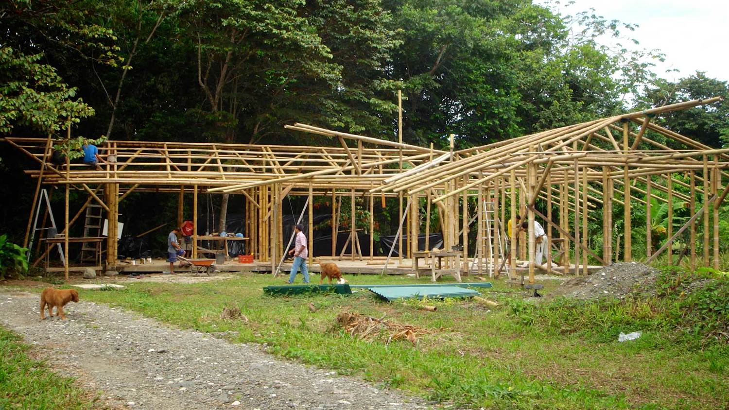 The Reality about Building with Bamboo