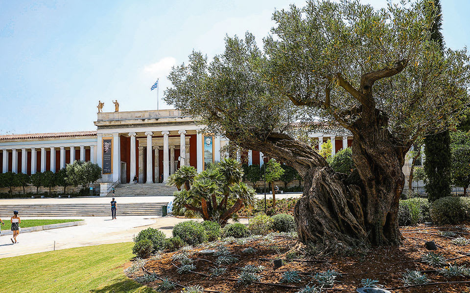 National Archaeological Museum, Athens Greece - This is the inspiration I need for olive bonsai