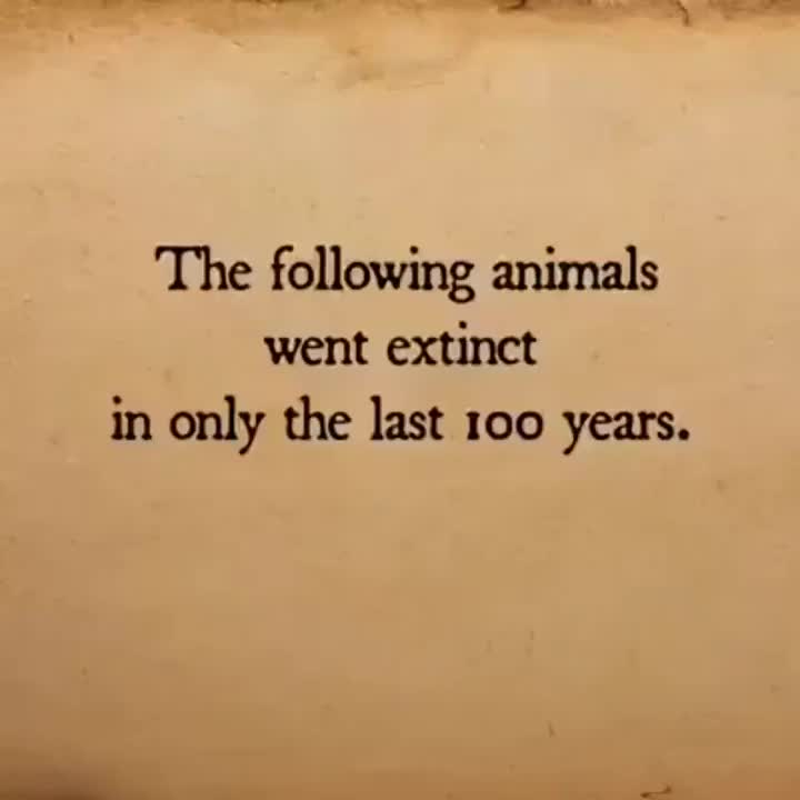 Animals that have gone extinct in the last 100 years