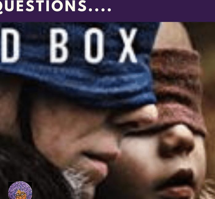 Bird Box - I Have Questions...