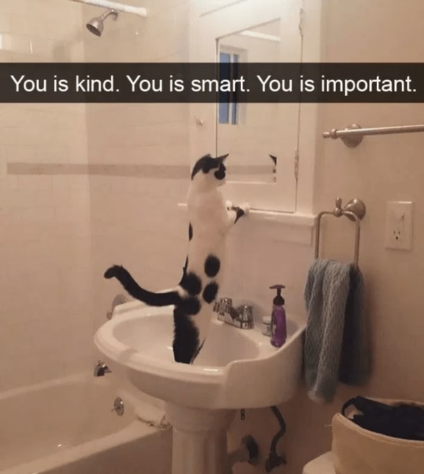14 Hilarious Animal Snapchats That Will Make You With The Biggest Smile