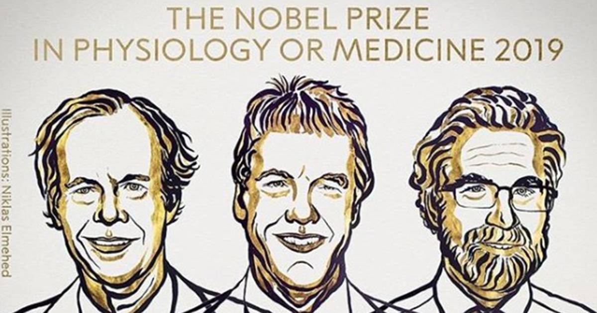 Scientists Who Discovered How Cells Sense Oxygen Wins 2019 Nobel Prize For Physiology Or Medicine