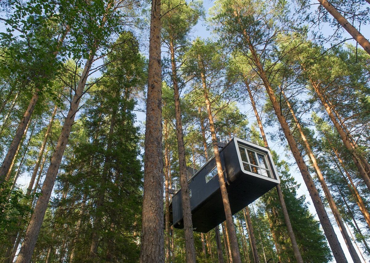 The Most Epic Treehouses From Around the World