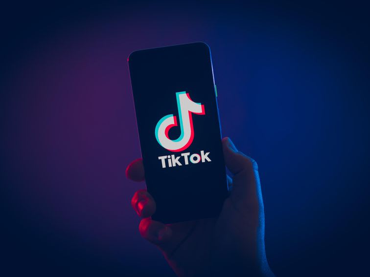 TikTok is the best place on the internet. We should all delete it