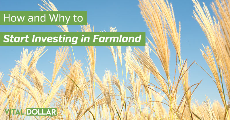 How and Why to Start Investing in Farmland