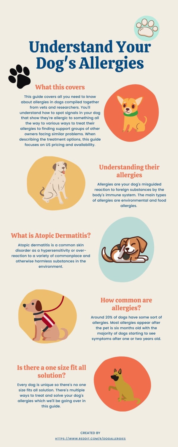 Understand Your Dog's Allergies - A Guide on their Itching and Treatments [Discussion] [Mod Approved]