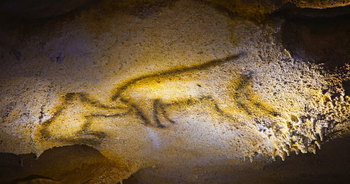 Skull scans reveal the tragic end of a prehistoric monster bear