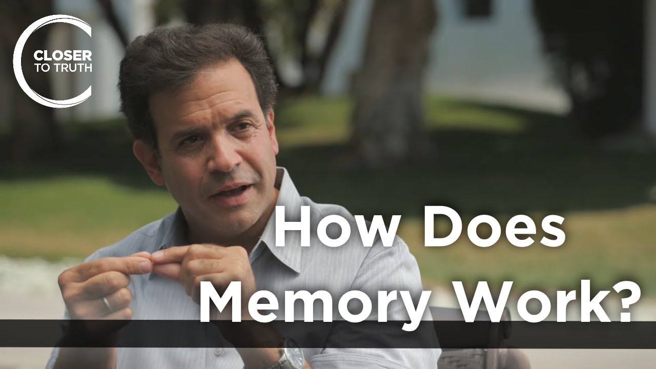 Rudolph Tanzi - How Does Memory Work?