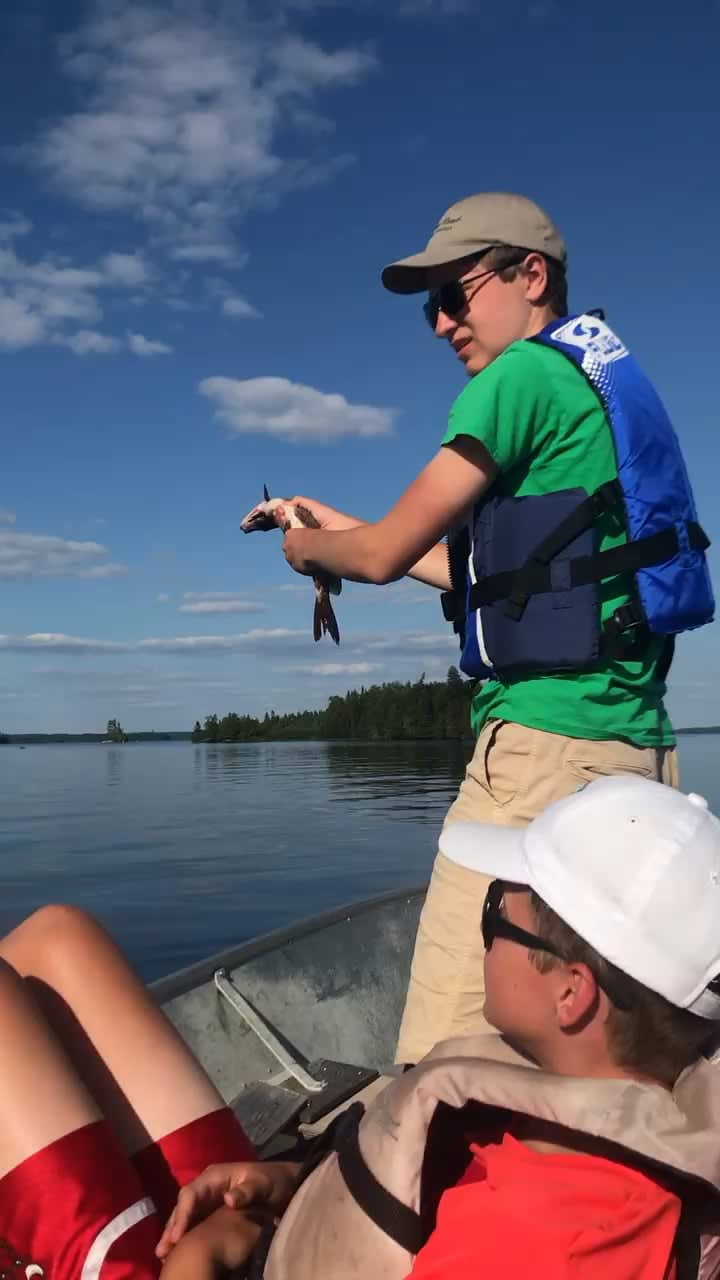 My brother in Canada feeding a bass to an eagle