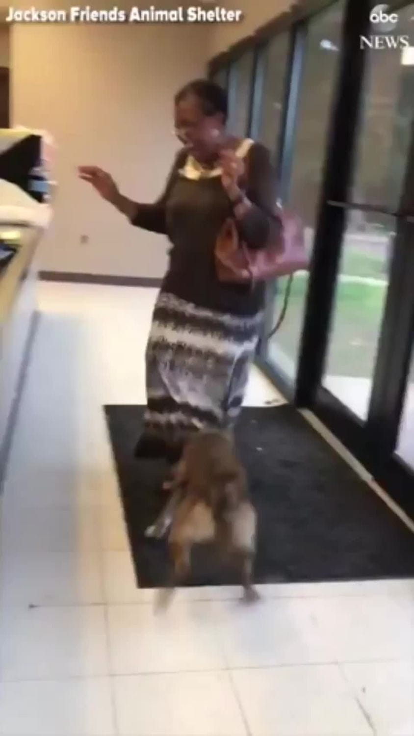 Woman is reunited with her dog that was missing for two weeks.
