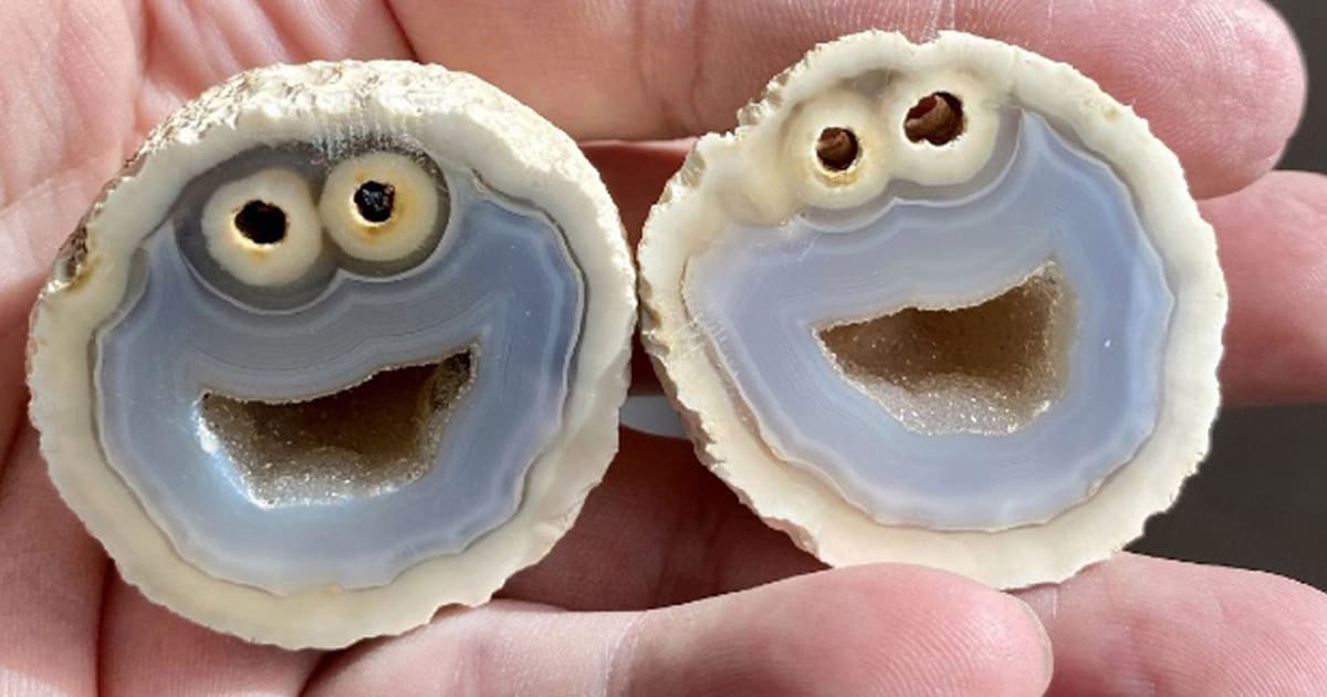 Geologists Discover Agate With Cookie Monster Hidden Inside When Split Open