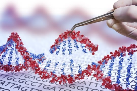 Light-activated 'CRISPR' triggers precision gene editing and super-fast DNA repair