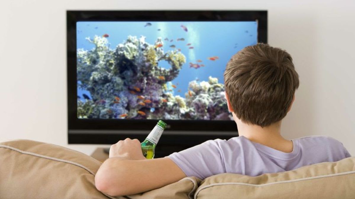 Viewer Prepared To Believe Whatever Documentary Tells Him About Coral Reefs