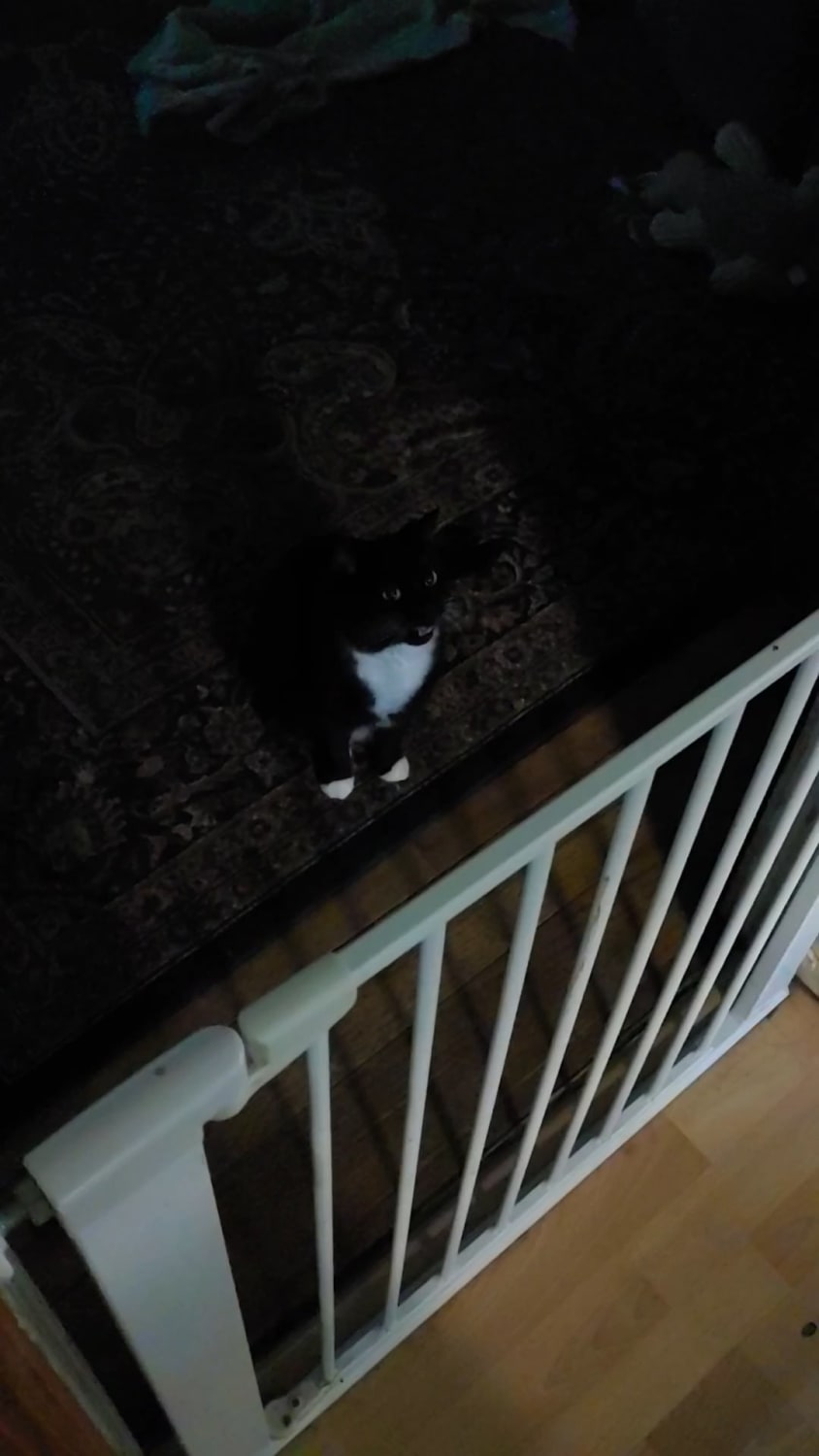 She greets us like this every single morning