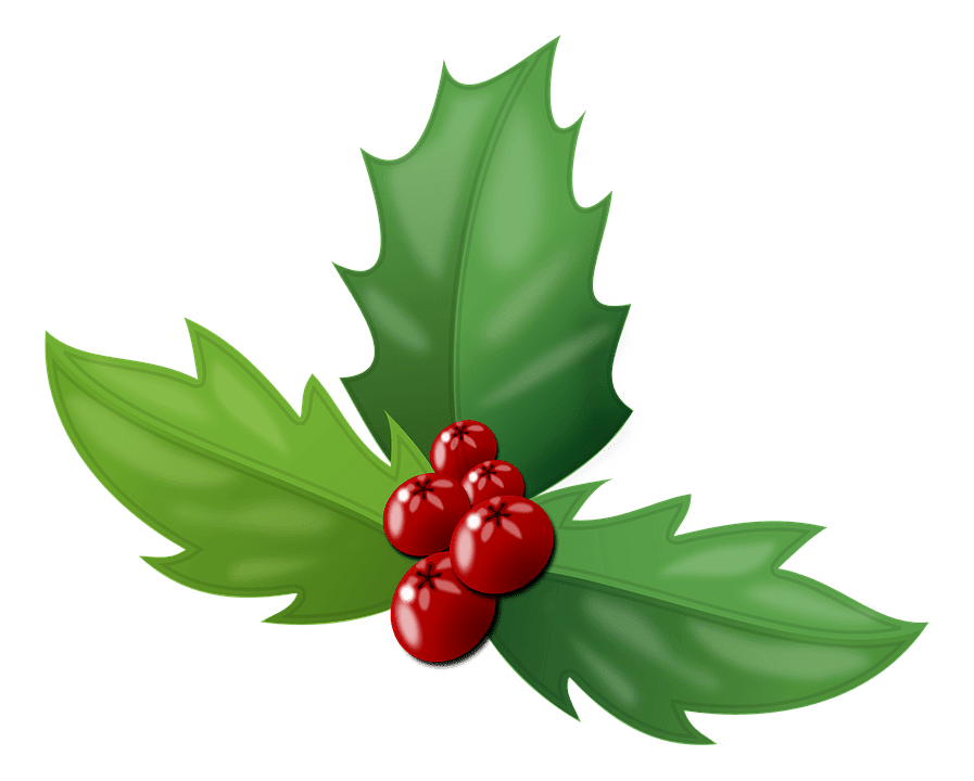 How to Identify Poison Berries & 10 Poisonous Wild Berries to Avoid