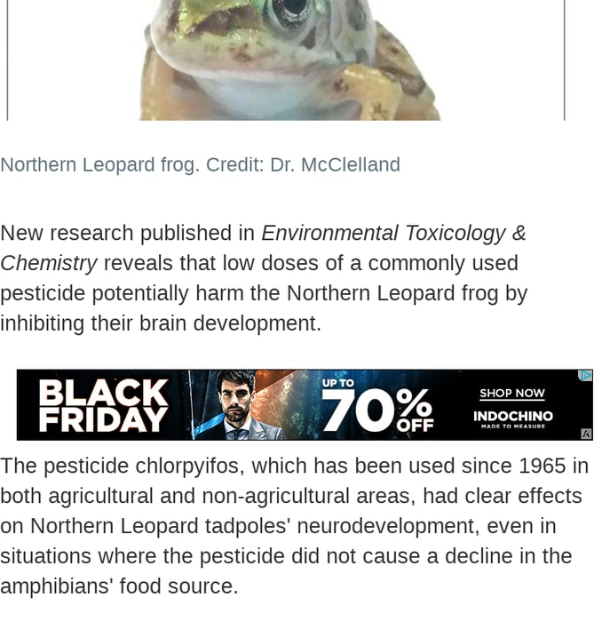Common pesticide inhibits brain development in frogs