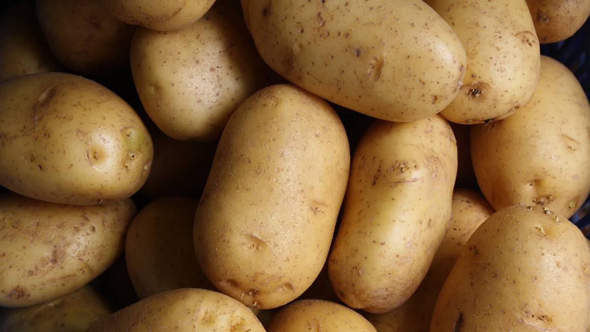 Boss Turns Herself Into A Potato During Group Conference Call
