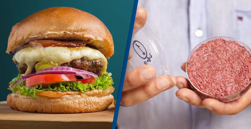 Company Secures $55 Million To Grow Meat Burgers In Labs