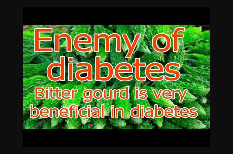Bitter gourd is very beneficial in diabetes