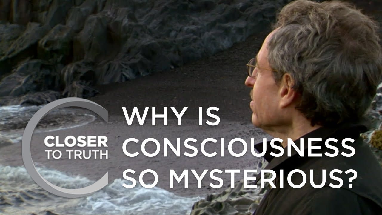 Why is Consciousness So Mysterious? | Episode 103 | Closer To Truth
