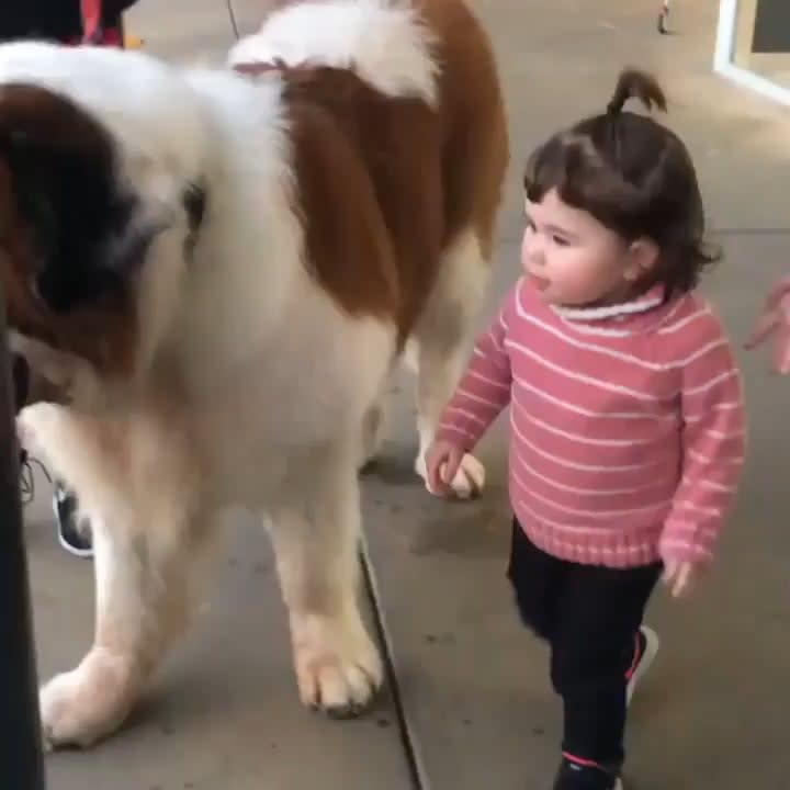 "I love you, dog." ... "I love you too, kid."