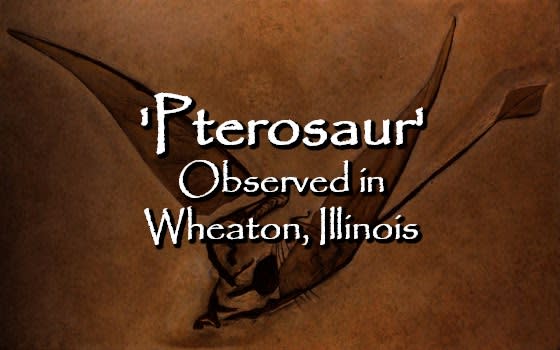 'Pterosaur' Observed in Wheaton, Illinois