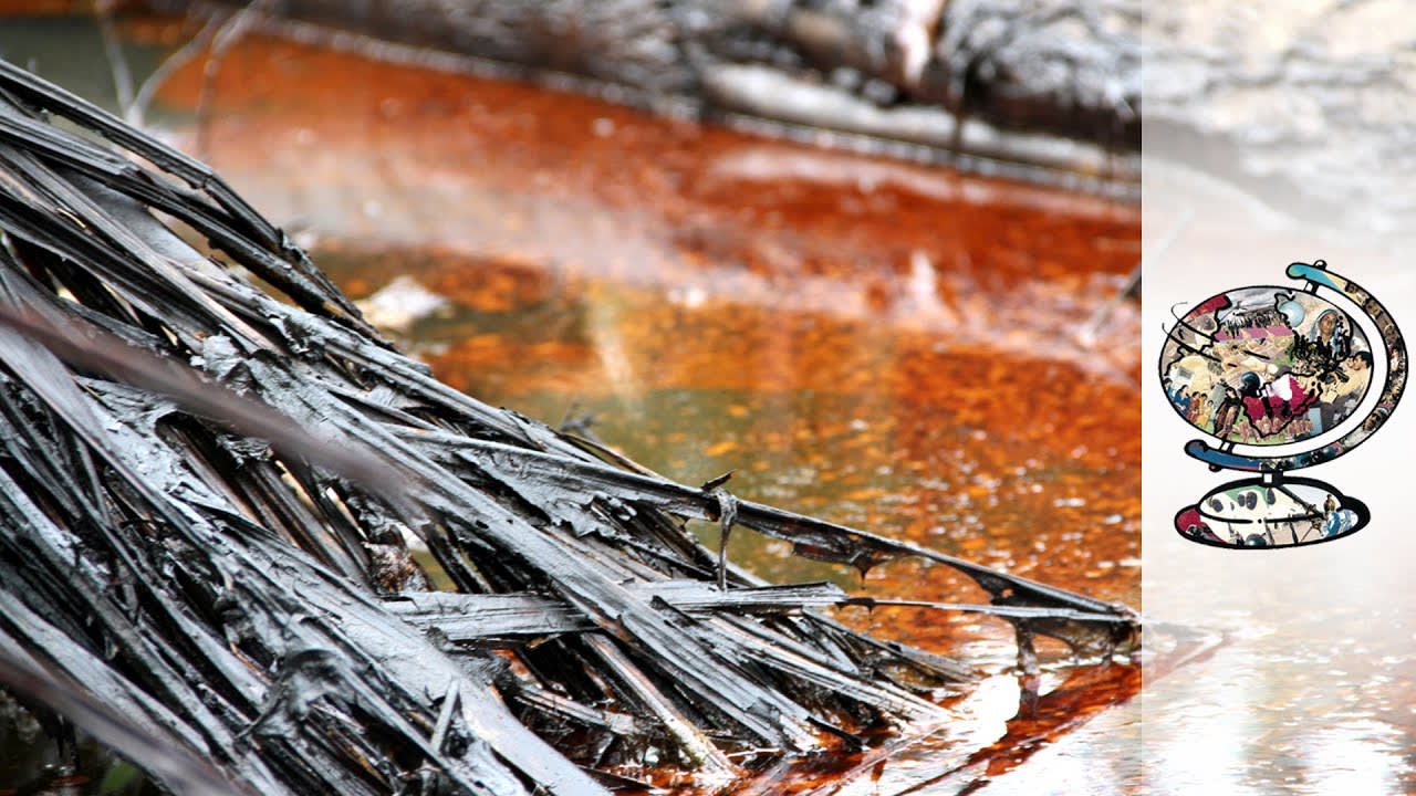 Niger's Appalling Daily Oil Leak Issue (2012)